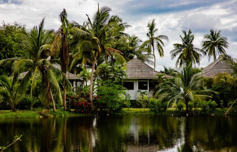 Blooming Village by Aforetime at Aforetime Properties Picture